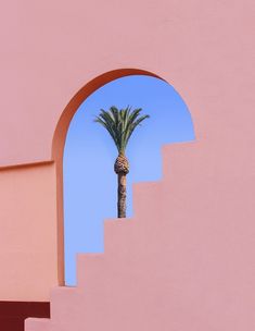 a palm tree is seen through an arch in a pink wall with steps leading up to it