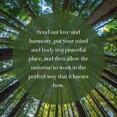 a forest with trees and the quote send out love and harmony, put your mind and body in a peaceful place