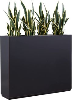 a black planter filled with green plants on top of a white background in the shape of a rectangle