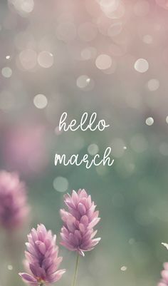 the words hello march are written in white letters on pink and green flowers with boket background