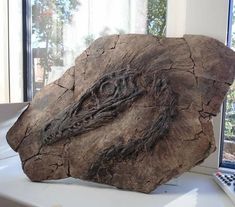 a large rock sitting on top of a white counter next to a window sill