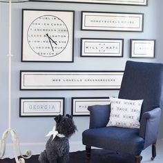 a black dog sitting on top of a rug in front of a chair and wall with pictures