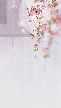 pink flowers on a white background with space for text