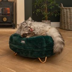 a cat laying on top of a green dog bed