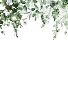 watercolor painting of green leaves and branches on white background with copy space for text