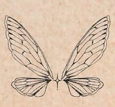 a drawing of a butterfly's wings