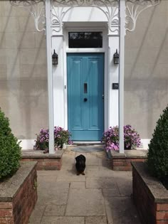 a black dog sitting in front of a blue door on a sidewalk next to flowers