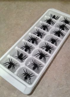 an ice tray filled with black spider magnets