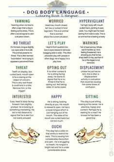 a dog's body language poster with the words