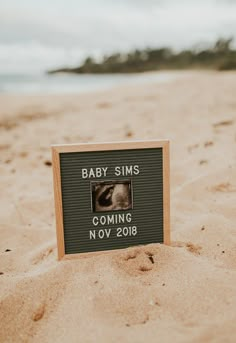 a sign that says baby sims coming november is on the sand at the beach