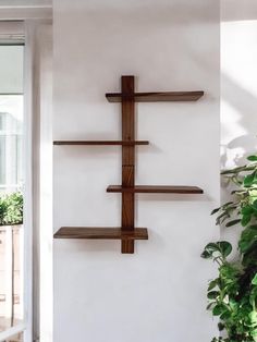 a wooden shelf sitting on the wall next to a potted plant