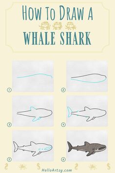 Step by step images demonstrating how to draw a Whale Shark Drawing - A Drawing Tutorial for Kids! Whale Shark Pictures, Whale Shark Drawing Reference, Drawing Whale Shark, How To Draw A Whale Shark, Whale Shark Craft