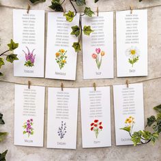 an arrangement of flowers are hung on clothes pins with the names of each flower species