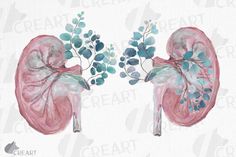 an image of the lungs with flowers and leaves on it's side, painted in watercolor