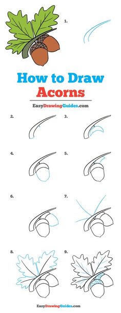 how to draw acorns step by step instructions