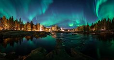 the aurora bore is shining brightly in the night sky over a river and some trees