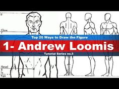 the top 20 ways to draw the figure 1 - andrew loomiis, part 2