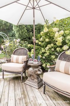 two chairs and an umbrella sitting on a wooden deck in front of bushes with white flowers