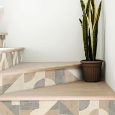 a potted plant sitting on top of a wooden step next to a tiled wall