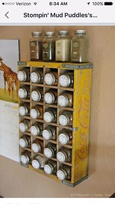 a wall mounted spice rack filled with lots of spices