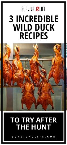 some meat hanging from hooks with the words, 3 incredible wild duck recipes to try after the hunt survival life