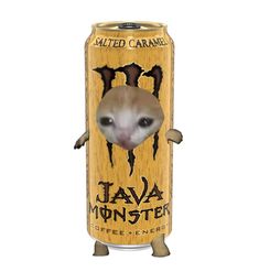 Sad cat in a can, monster, java coffee salted caramel Cat With Monster Energy, Fruit Cat, Cat Dressed Up, Funny Image, Food Cat, Cat Dress