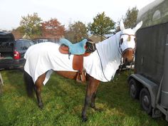 a horse wearing a blanket standing next to a trailer