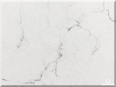 a white marble textured background with black lines