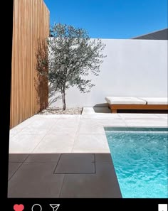 an outdoor pool with a tree next to it