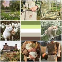 a collage of pictures with cats and flowers in them, including an image of a woman holding a cat