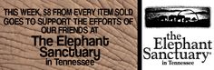 the elephant sanctuary in tennessee is open for business this week, from friday to saturday