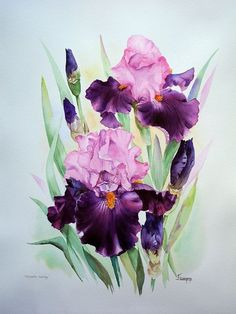 a painting of purple flowers on a white background