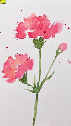 watercolor painting of pink carnations on white paper with yellow marker and paint splatters