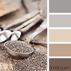 an image of a spoon full of chia seeds on the table with color swatches