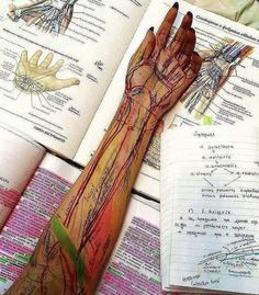 a person's arm and hand are shown with medical diagrams on the book pages