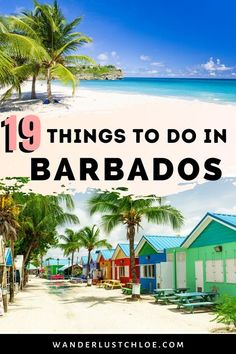 colorful beach huts and palm trees with the words 19 things to do in barbados