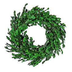 a wreath with green leaves is shown on a white background