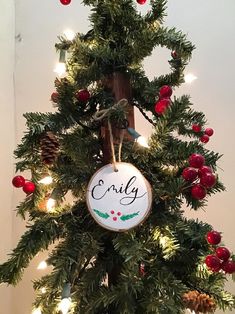 an ornament hanging from the top of a christmas tree decorated with pine cones and red berries