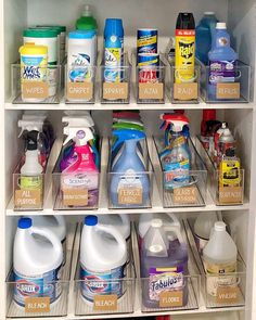 a refrigerator filled with lots of different types of cleaning products and detergent on shelves