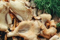 mushrooms and parsley are piled on top of each other