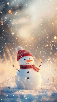 a snowman with a red hat and scarf standing in the middle of a snowy field