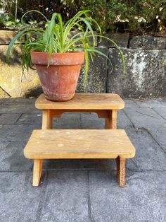 a wooden step stool with a potted plant on top