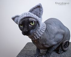 a hairless cat wearing a knitted hat on top of a stone slab in front of a white wall