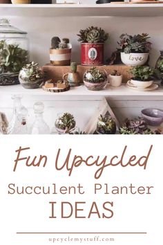 a shelf filled with succulent plants and potted plants on top of it