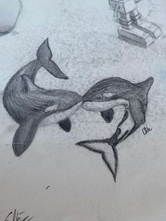 this is a drawing of two dolphins in the water