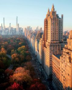 an aerial view of the city skyline with tall buildings and trees in fall colors at sunset