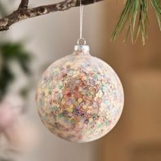 a glass ornament hanging from a tree branch