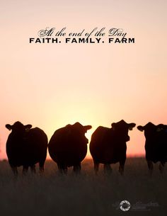 three cows are standing in the grass as the sun sets behind them with an inspirational quote