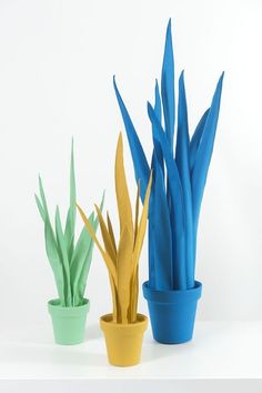 three potted plants with blue and yellow leaves in them on a white table top