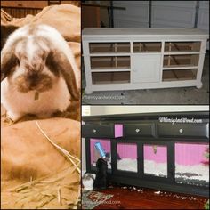 the rabbit is laying down in front of the cabinet and next to it's bed